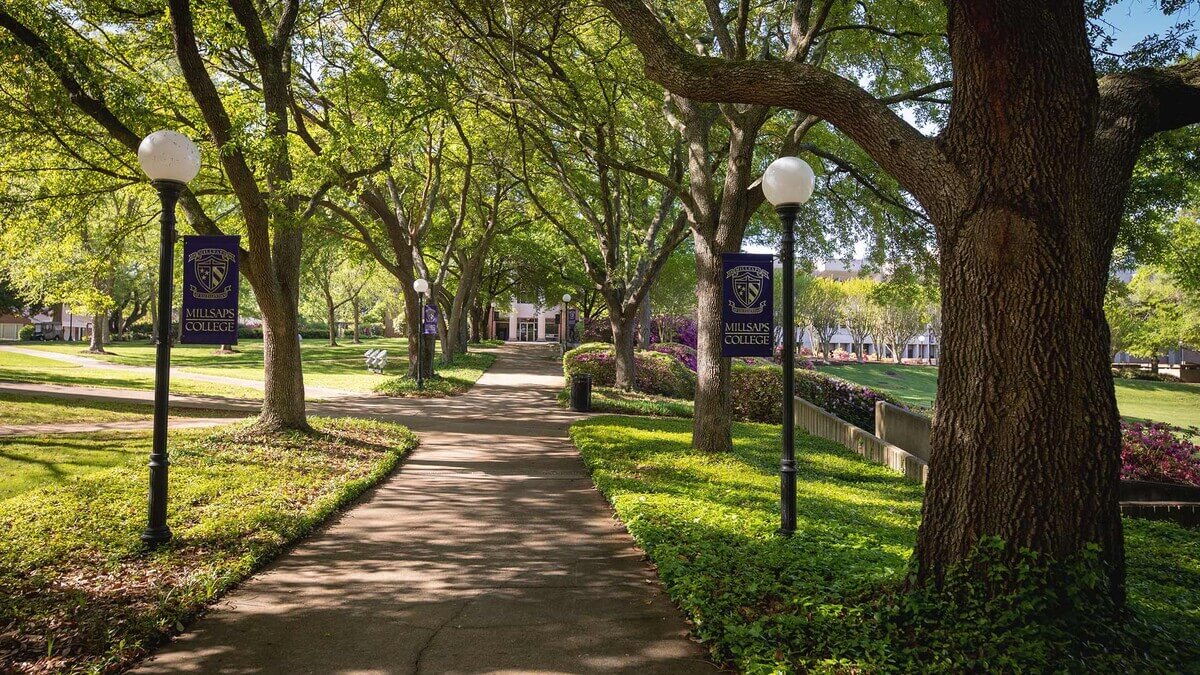 Wide shot of the outdoor green space with sun shining through tree branches at Millsaps College
